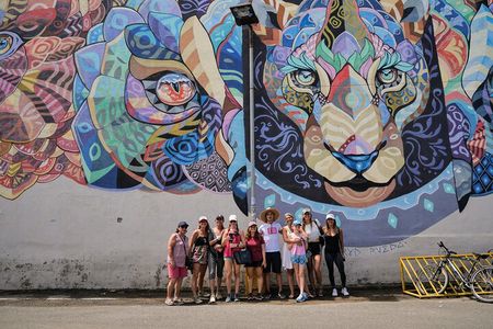 Guided Walking Street Art & Graffiti Tour in Jaco Costa Rica 