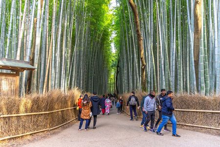 Kyoto's Arashiyama Bamboo Grove: 3-Hour Guided Tour