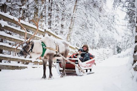 Arctic Circle Highlights Family Day