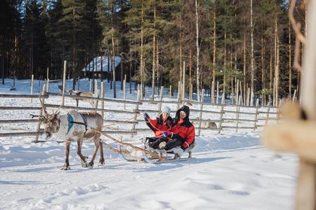Reindeer Experience with Sledge Ride