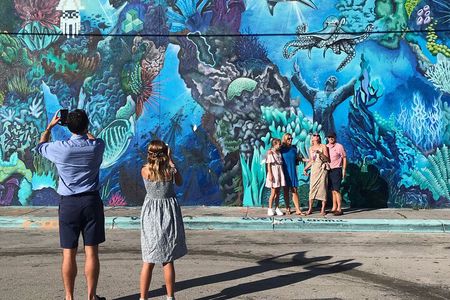 Wynwood Street Art Tour