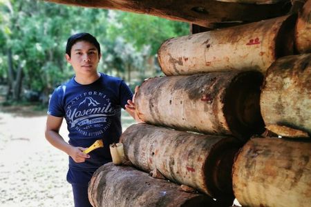 Private Activity Full Day Bee Matters Protect a Bee