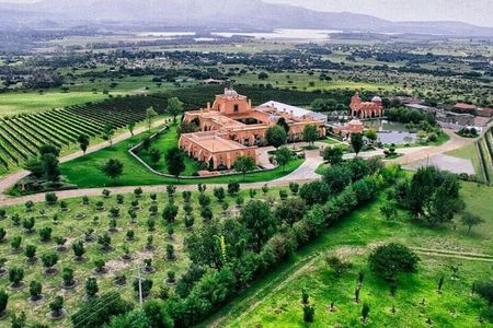 Vineyard, tour, tasting and fun in San Miguel de Allende 