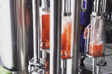 Vineyard, tour, tasting and fun in San Miguel de Allende 