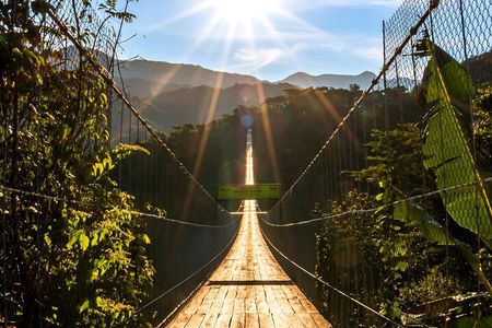 Zip Line, Mules Ride and Walk on the Hanging Bridge