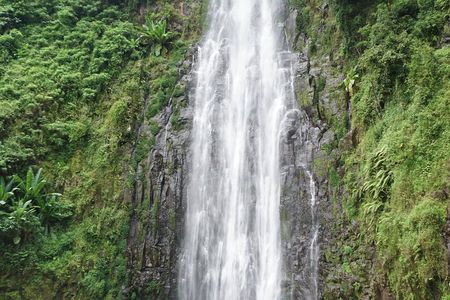 Day trip Materuni Waterfalls and Coffee Tour 