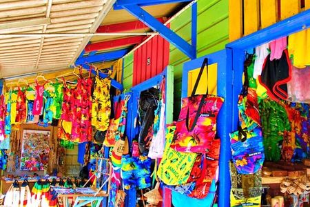 Private Montego Bay Highlight Tour with Local Guide