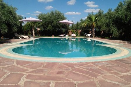 Day pool lunch and camel around Marrakech