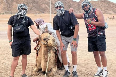 Safari 5 in 1 Quads, Camels, Show, Dinner & Star Gazing in Sharm El Sheikh