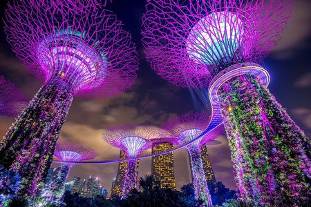 4 Hours - Singapore Tour in Private Car or Minibus with Driver