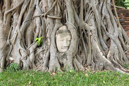 Full-day Private Tour to The World Heritage Site in Ayutthaya