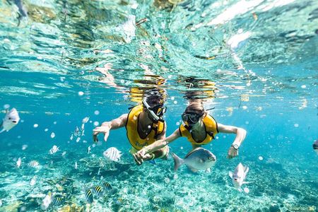 Reef and Shipwreck Snorkeling Tour