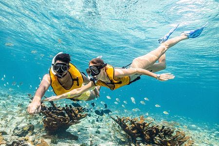 Reef and Shipwreck Snorkeling Tour