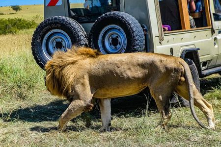 3 Days Private Masai Mara Safari