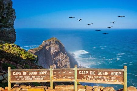 Cape of Good Hope Penguins Private Tour Customizable Experience
