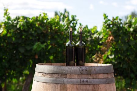Napa Valley and Sonoma Wine Tour