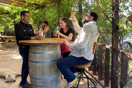 Private Tour in Guadalupe Valley, Vine Yards & Wine Route ENS MX