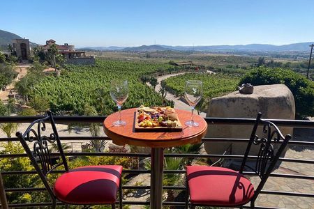 Private Tour in Guadalupe Valley, Vine Yards & Wine Route ENS MX