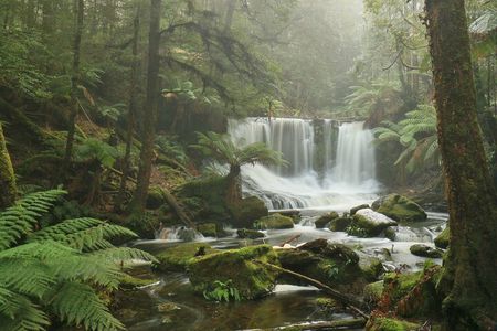 Hobart: Waterfalls, Wilderness & Wildlife - Active Day Tour