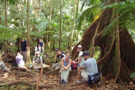 St. Kitts Rainforest Rumble (with Snacks)