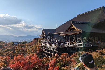 Tour in Kyoto with a Goverment Certified Tour Guide