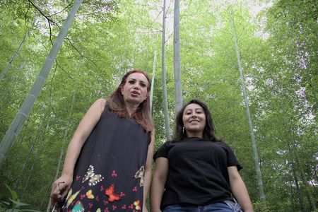 Tour in Kyoto with a Goverment Certified Tour Guide