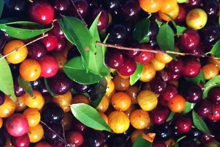 St.Martin - St.Maarten: Small Group, Culinary Food Tour