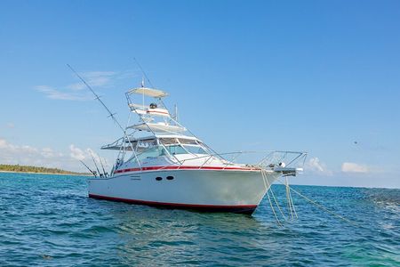 Reel Adventures: A Fin-tastic Fishing Tour