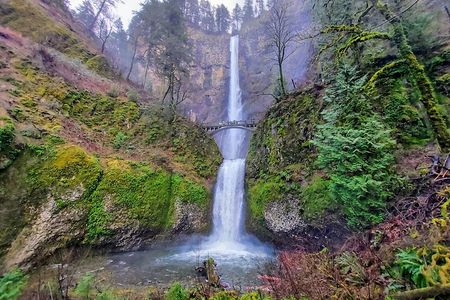 Explore Columbia River Gorge Half-Day Small-Group Tour 