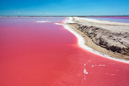 Las Coloradas Pink Lake & Rio Lagartos Guided Tour 
