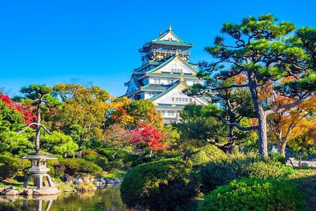 Tour and Food Tour in Osaka with Goverment Guide All incluided