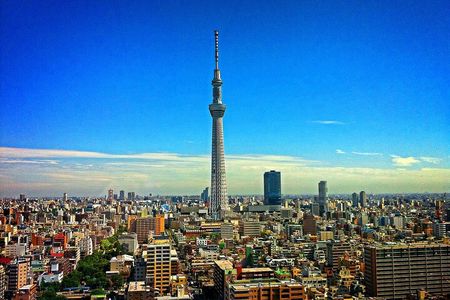Private Memorable Tokyo Tour with English Speaking Driver