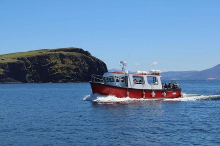 2-hour Guided Mini Eco Tour at Dingle, Ireland