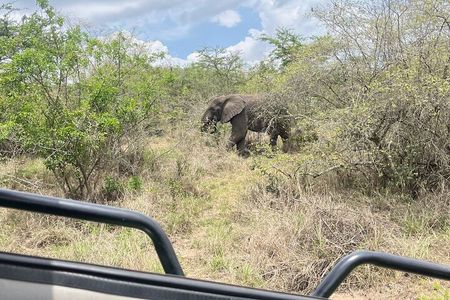  1 Day Akagera National Park Private Safari