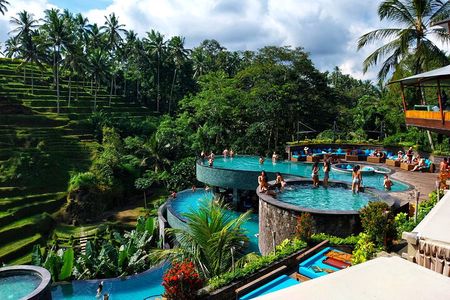 Ubud Cretya Tours and Happy Swing 