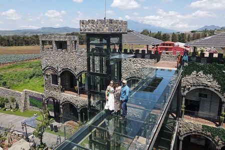 Private Full-Day Tour to Tequila Visiting El Castillo de Tequila