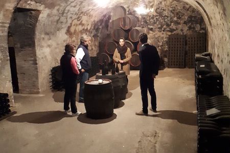 Independent visit DE cellar and tasting in the vineyards
