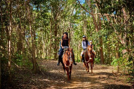 Kuranda Half Day Including Horse Trail Ride and Petting Zoo
