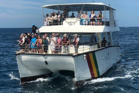 Whale Watching Mirissa with ( WWC )