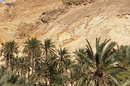 Circuit the south of Tunisia in 2 days Sahara Explorer