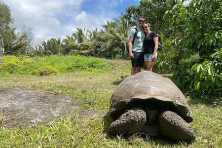 BiciTour Giant Turtles and Lava Tunnel in Galapagos