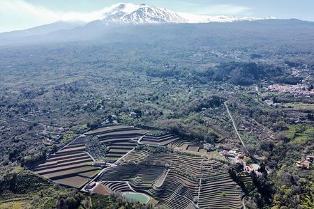 Etna panoramic private tour and Wine taste and food combination