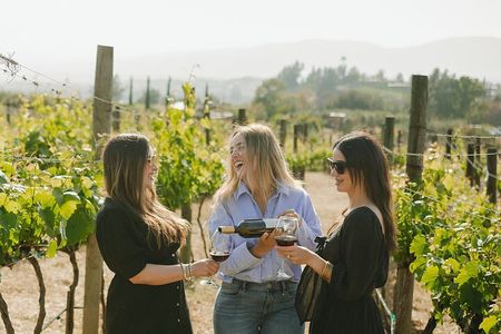 Private Wine Tour by Ansell Tours