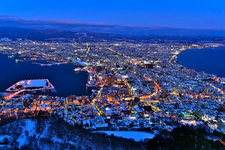 Port Pick-Up: Hakodate Tour with Licensed Guide and Vehicle