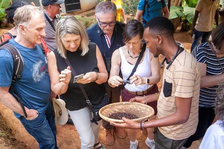Full-Day Private Materuni Waterfalls and Coffee in Tanzania