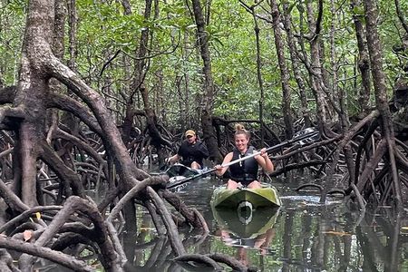 Half-Day Geopark Mangrove Kayaking Adventure