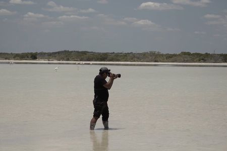  Full Day Tour from Tulum to Rio Lagartos