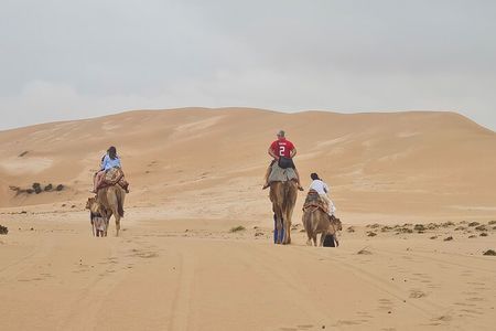 Agadir Sahara Desert including Camel ride, sandboarding & pickup