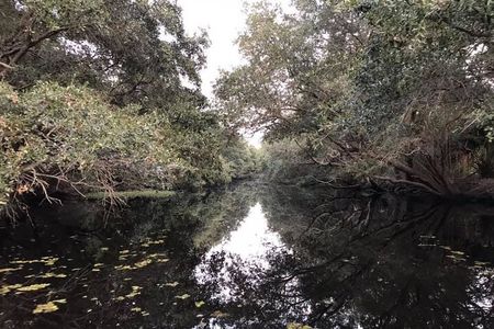 2 Hours Boat Tour in Louisiana Bayous Near New Orleans