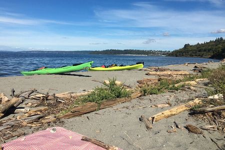 Discovery Point Kayak Tour